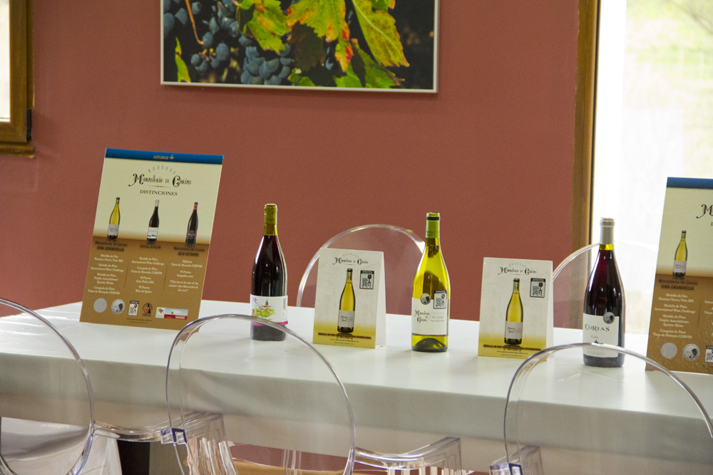 Bodega Monasterio de Corias 8