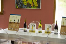 Bodega Monasterio de Corias 8